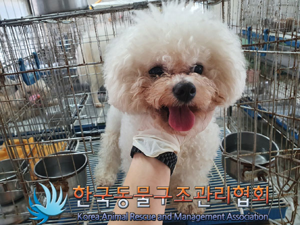 한국동물구조관리협회_411312202300465
